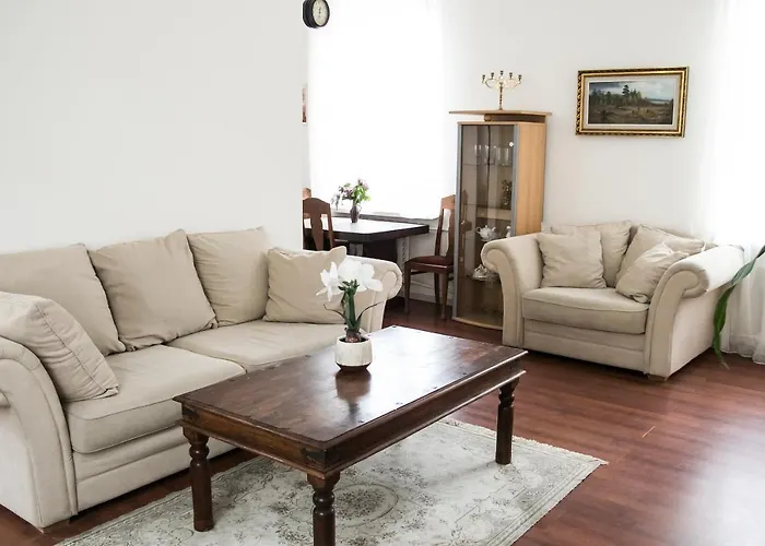 Vintage Style Spacious Apartment